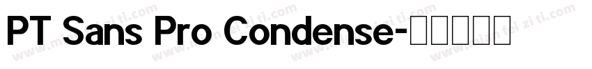 PT Sans Pro Condense字体转换